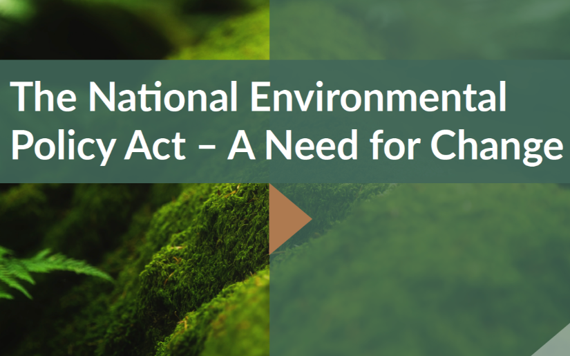 New Report Addresses Opportunity to Improve Integrity of US Environmental Law